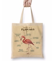 Bir Flamingo Anatomisi Bez Çanta Uzun Saplı