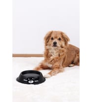 RENKli Metal Mama Kabı, Kedi Köpek Mama Su Kabı 18 cm (Siyah)