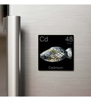 Cadmium (Kadmiyum) Elementi – Buzdolap Magneti – 9x9 cm