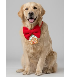 Ginger Home Köpek Papyon Tasması  Kırmızı Fiyonk Boyun Aksesuarı  Noel Temalı Köpek Süsü  Orta ve Büyük Irklar İçin