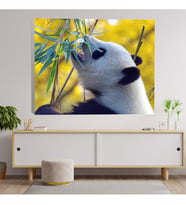 Panda Dekoratif Kanvas Tablo