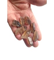 50 Gram Dumanlı Kuvars Küçük Piramit Uçlar 111-2