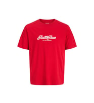 Jack & Jones Jorcatskills Erkek Tişört