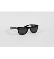 POLO BLACK P110 49 25 145 Cİ MİNERAL GLASSES ERKEK GÜNEŞ GÖZLÜĞÜ (Siyah)