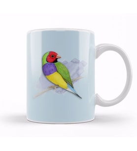 Gouldian Finch Wizard 03 Kupa Bardak Porselen
