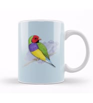 Gouldian Finch Wizard 03 Kupa Bardak Porselen