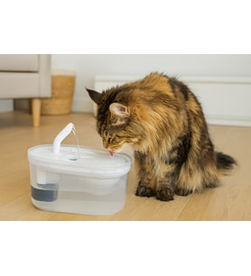 Cans Arıtmalı Kedi Su Sebili 2.5 LT – Sessiz Motorlu, Karbon Filtreli ve Hijyenik Su Kaynağı