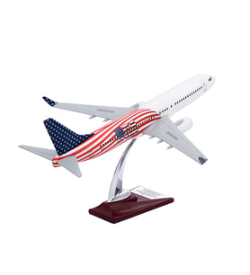 Zekupp - Maket Uçak - Boeing 737-800 1/100 - ABD ÖZEL TASARIM Model Uçak