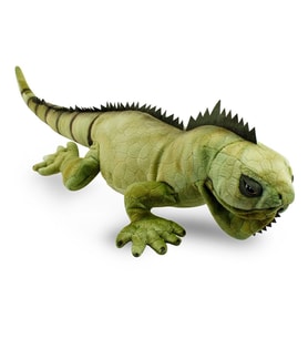 İguana 66 cm (Çok Renkli)