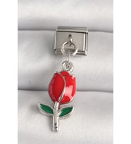316L Çelik Gümüş Renk Kırmızı Gül Model Nomination Charm