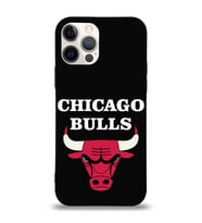 Apple iPhone 12 Pro  Lansman Kılıf Chicago Bulls Tasarımlı Altı Kapalı İçi Kadife Kaplı  Kapak (Şeffaf)