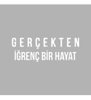 Gerçekten İğrenç Bir Hayat Araba Sticker siyah 16x5 CM (Beyaz)