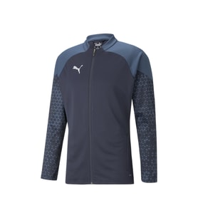 Puma Teamcup Training Jacket Erkek Futbol Antrenman Ceketi 65798306 Lacivert