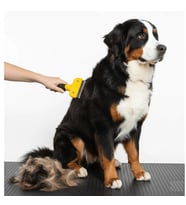 Kedi & Köpekler İçin Tüy Alıcı 7 Cm