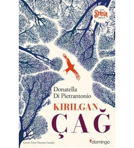 Kırılgan Çağ