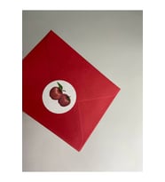 Kırmızı Elma Etiketi Meyveler Mat Yiyecek 3 Cm (95 ADET)