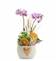 Kalp Vazoda Mini Mor Orkide ve Beyaz Kalanchoe