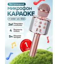 Kablosuz Karaoke Çocuk Mikrofonu
