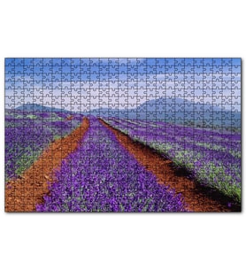 Cakapuzzle Avustralya Tazmanya Lavanta Tarlaları Puzzle Yapboz MDF (Ahşap) (120 Parça)