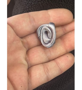 1.5 CM GRİ RENK  KURDELA GÜL  HER PAKET 50 ADET