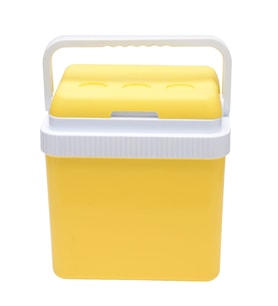 Icepeak SF26 Taşıma Çantası Buzluk 26 Litre-SARI