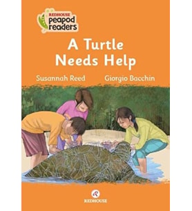 A Turtle Needs Help