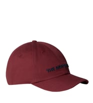 The North Face ROOMY NORM Şapka NF0A7WHPAYQ1 (Çok Renkli)