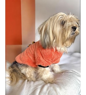 Turuncu İkizler Kapşonlu Sweat by Kemique Köpek Kazağı 