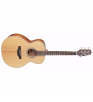 Takamine GN20-NS Akustik Gitar (KILIF+PENA)