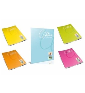 GIPTA MICA TEL DİKİŞLİ PP KAPAK A5 80 YP. ÇİZGİLİ DEFTER