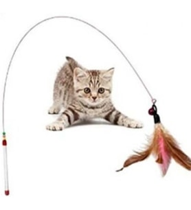 Kedi oyun oltası