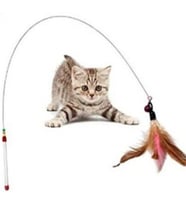 Kedi oyun oltası