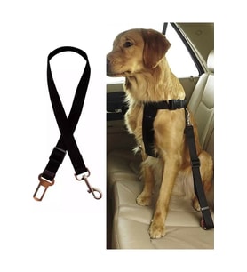 Evcil Hayvan Araç Emniyet Kemeri Kedi Köpek Araba Tasması Köpek Oto Aksesuarı (Siyah)
