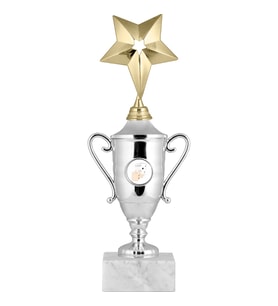 ODAK KUPA - Genel Kupalar - GG-003 A - 28 cm