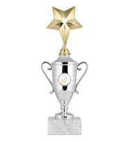 ODAK KUPA - Genel Kupalar - GG-003 A - 28 cm