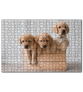 Cakapuzzle Kasada Golden Yavruları Puzzle Yapboz MDF (Ahşap) (120 Parça)