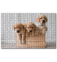 Cakapuzzle Kasada Golden Yavruları  Puzzle Yapboz MDF (Ahşap) (120 Parça)