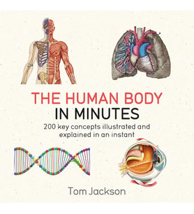 The Human Body In Minutes