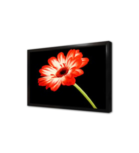 Kırmızı Çiçek Çerçeveli Mdf Tablo