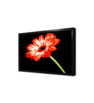 Kırmızı Çiçek Çerçeveli Mdf Tablo