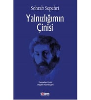 Yalnızlığımın Çinisi (Renksiz)