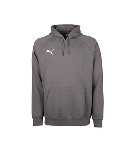 Puma Turkey Hoodie Türkiye Futbol Antrenman Sweatshirt 60546903 Gri