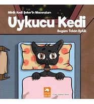 Uykucu Kedi