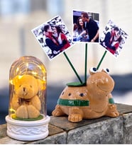 Sizlere Özel Hediye Seti 3 Fotoğraflı Sevimli Kaplumbağa ve Led Işıklı Fanus (Model 6)