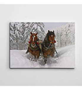 Atlar Kanvas Tablo