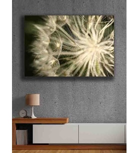 Koç stüdyo Modern tasarım kanvas tablo 50x70 (Çok Renkli)
