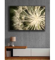 Koç stüdyo Modern tasarım kanvas tablo 50x70 (Çok Renkli)