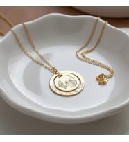 Kişiye Özel 925 Ayar Gümüş Evcil Hayvan Fotoğraflı İsim Detaylı Kolye (Gold)