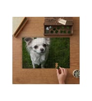 Sevimli Beyaz Köpek Tasarımı 240 parça Ahşap Puzzle Ahşap Kutuda MP04907