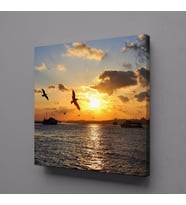 GÜN DOĞUŞU VE BATIŞI KUŞLAR KANVAS TABLO 90x90cm (Karışık)